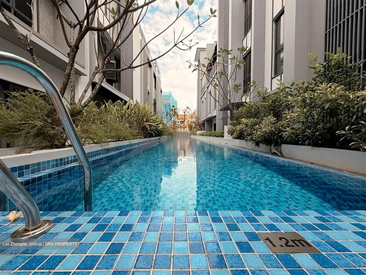 Lotus Ville (D15), Terrace #532851271